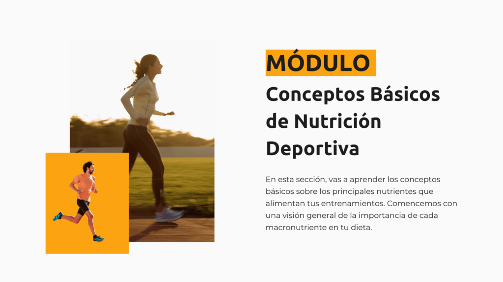 Modulo 1 conceptos basicos