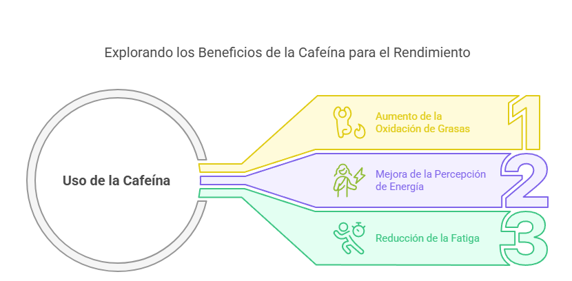 uso de la cafeína